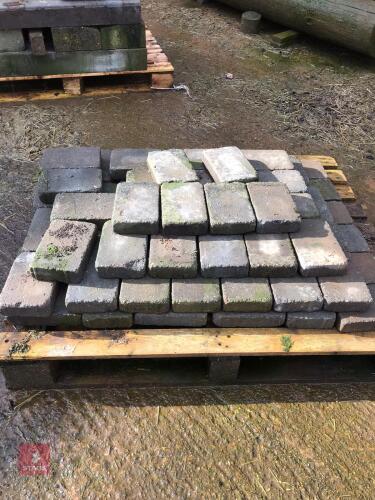 PAVING BRICKS