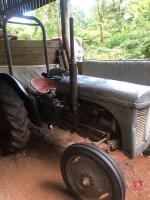 GREY FERGUSON TED20 2WD TRACTOR (S/R) - 3