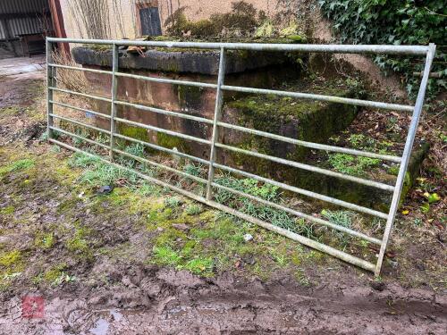 12' GALVANISED FIELD GATE (30)