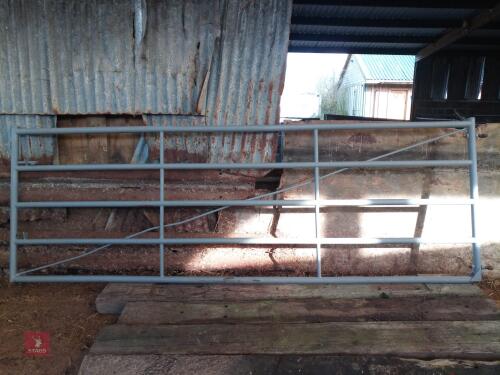 10' HEAVY DUTY YARD GATE
