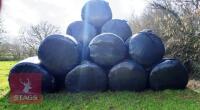 73 BALES OF HAYLAGE - 2