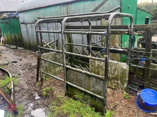CATTLE CRUSH