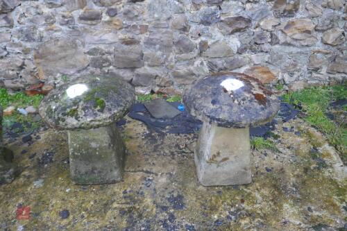 SANDSTONE STADDLE STONE (1)