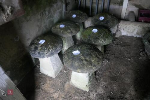 SANDSTONE STADDLE STONE (6)