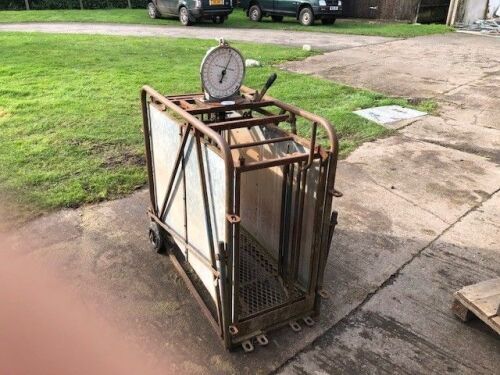 POLDENVALE LAMB WEIGHER (109)