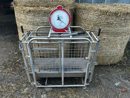 IAE GALVANISED WEIGH CRATE