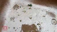 GARDEN WHEELBARROW - 7