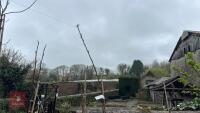2 COOKING APPLE TREES