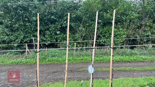 4 APPLE TREES 'SPARTAN'