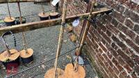 2 SORBUS TREES - 4