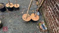 2 SORBUS TREES - 5