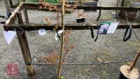 CERCIDIPHYLLUM JAPONICUM TREE - 3