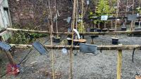 2 MALUS RED OBESILK - 2