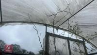 GLEDITSIA SPECTRUM TREE - 8