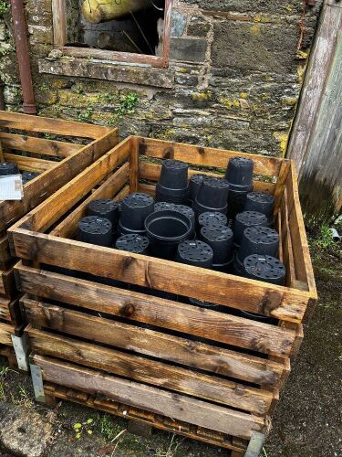 CRATE OF 3L PLASTIC PLANT POTS