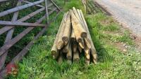 25 2.4M WOODEN STAKES - 5