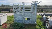 NEW IAE SARACE CATTLE CRUSH - 2