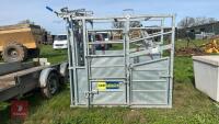 NEW IAE SARACE CATTLE CRUSH - 4