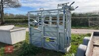 NEW IAE SARACE CATTLE CRUSH - 13