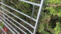 IAE 12' GALVANISED FIELD GATE - 4
