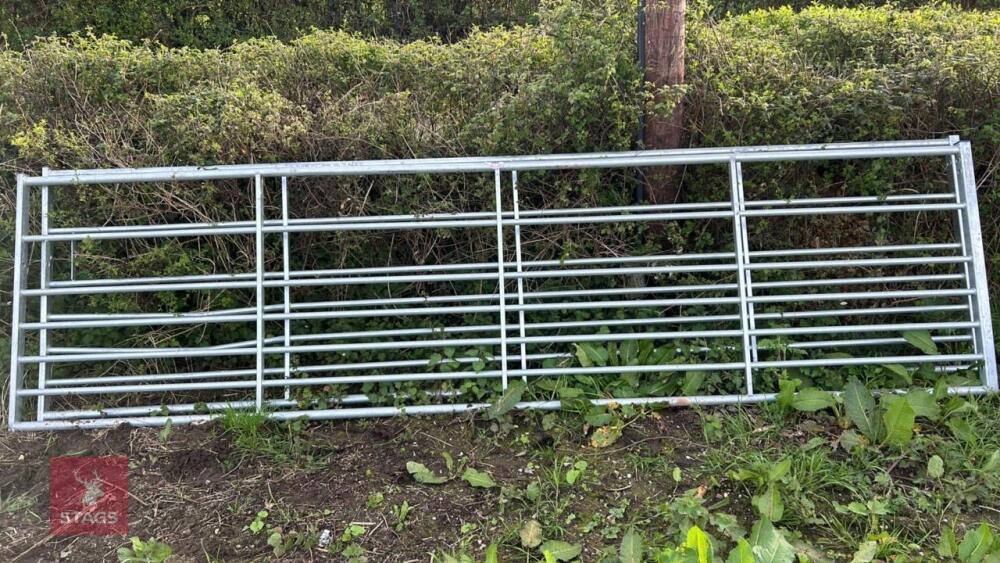 IAE 14' GALVANISED FIELD GATE