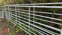 IAE 14' GALVANISED FIELD GATE - 3