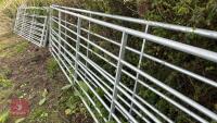 IAE 14' GALVANISED FIELD GATE - 6