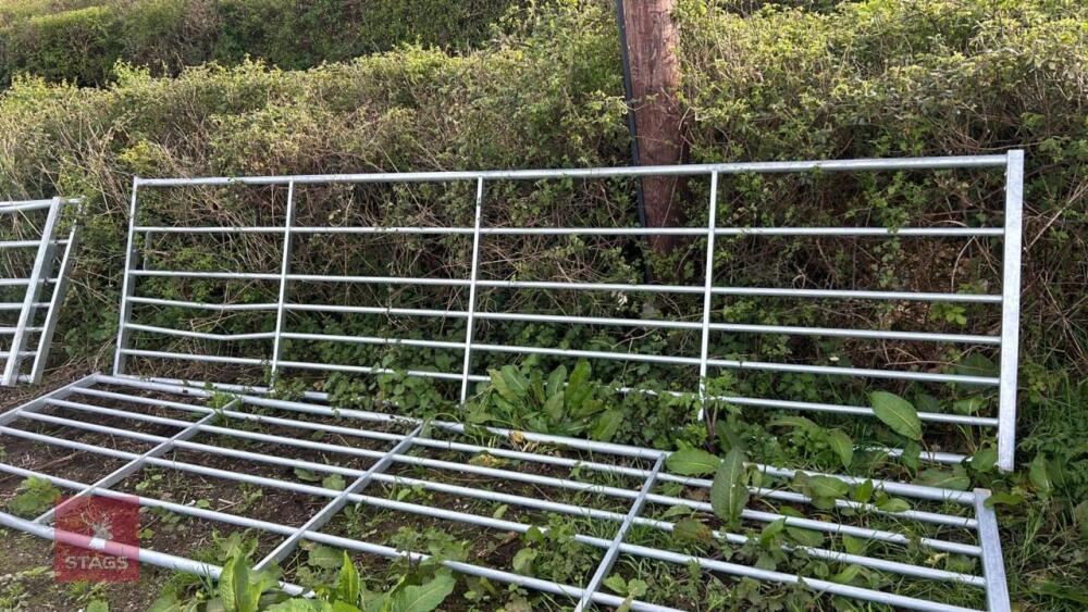 IAE 14' GALVANISED FIELD GATE