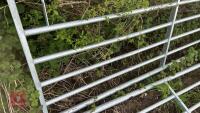 IAE 14' GALVANISED FIELD GATE - 3