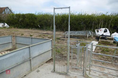 GALVANISED SHEEP GUILOTINE GATE