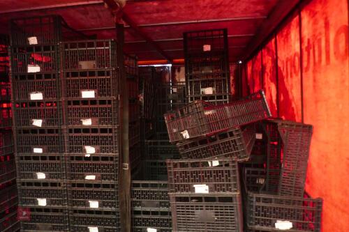 APPROX 180 PLASTIC VEGETABLE CRATES