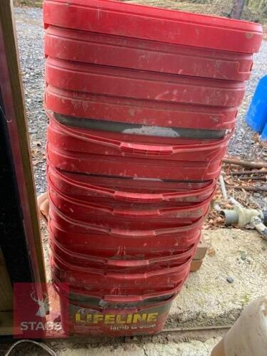 DOZEN BUCKETS