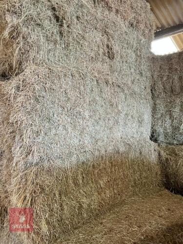 50T OF 2022 LARGE RECTANGULAR HAY