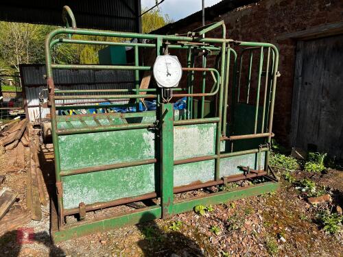 TUBAR CATTLE WEIGH CRUSH