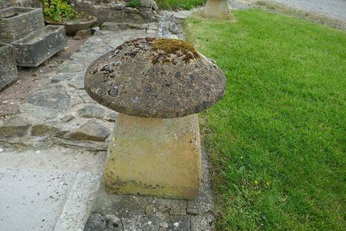 SANDSTONE GARDEN MUCHROOM