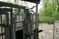 BATEMAN AMBASSADOR CATTLE CRUSH - 11