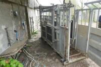 BATEMAN AMBASSADOR CATTLE CRUSH - 20
