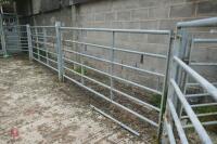 20' CATTLE RACE - 11