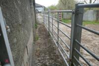 20' CATTLE RACE - 12