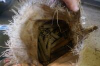 BAG OF SPRINGS - 2