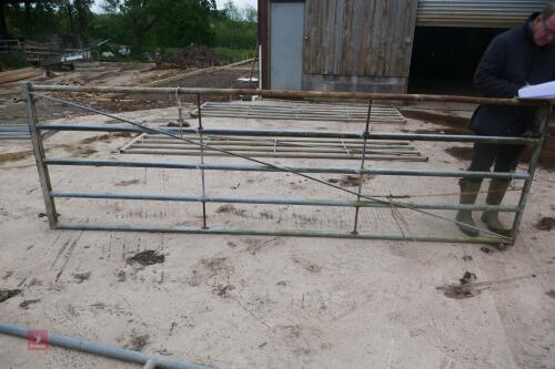12' GALVANISED YARD GATE (MARKED C)