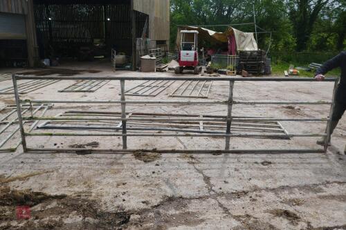 15' GALVANISED YARD GATE (MARKED G)