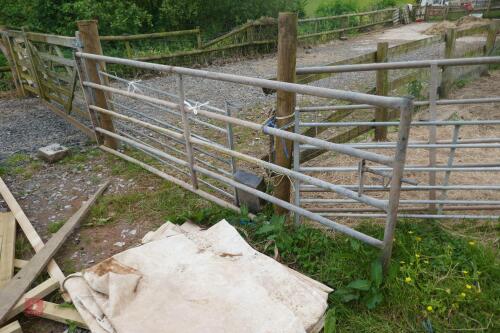 11' GALVANISED YARD GATE (MARKED M)