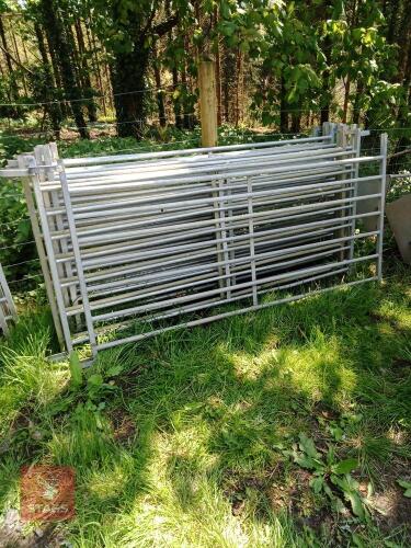11 X 6' X 4' SHEEP HURDLES