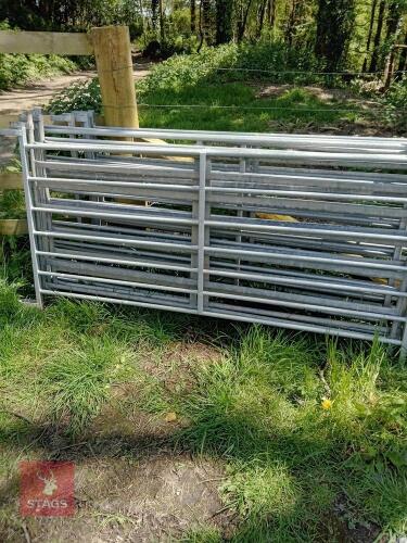 11 X 6' X 4' SHEEP HURDLES