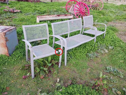 3 GARDEN CHAIRS