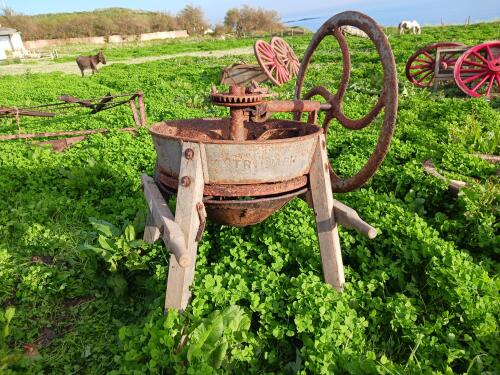 TRIUMPH MANGLE CHOPPER