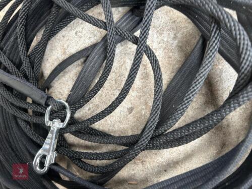 SET OF LONG REINS