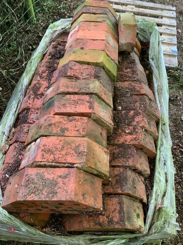 APPROX 170 RECLAIMED DOUBLE CANT BRICKS