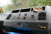 2002 MAN 22' LIVESTOCK LORRY - 15